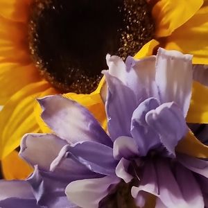 Meet your Posher, Desiree